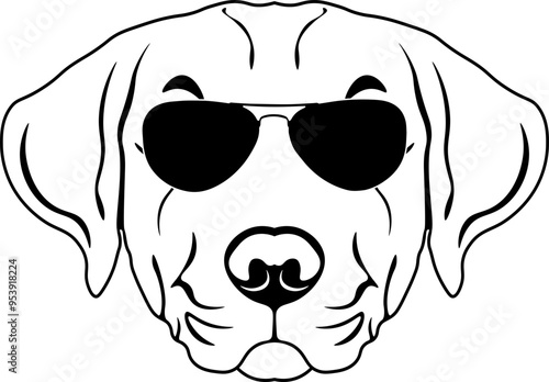 Chesapeake Bay Retriever In Sunglasses