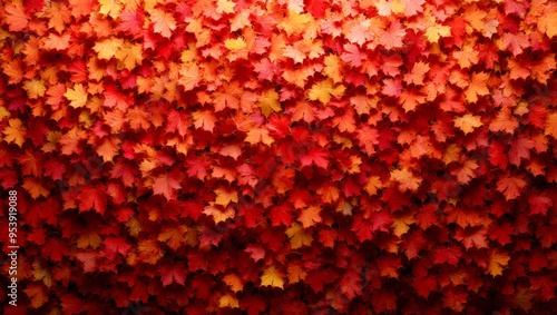 Autumn landscape ideal for ...