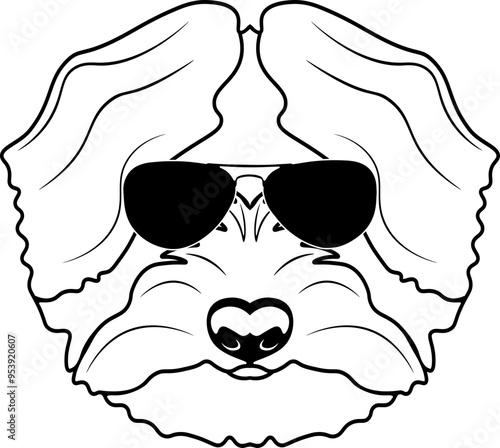 Coton De Tulear In Sunglasses