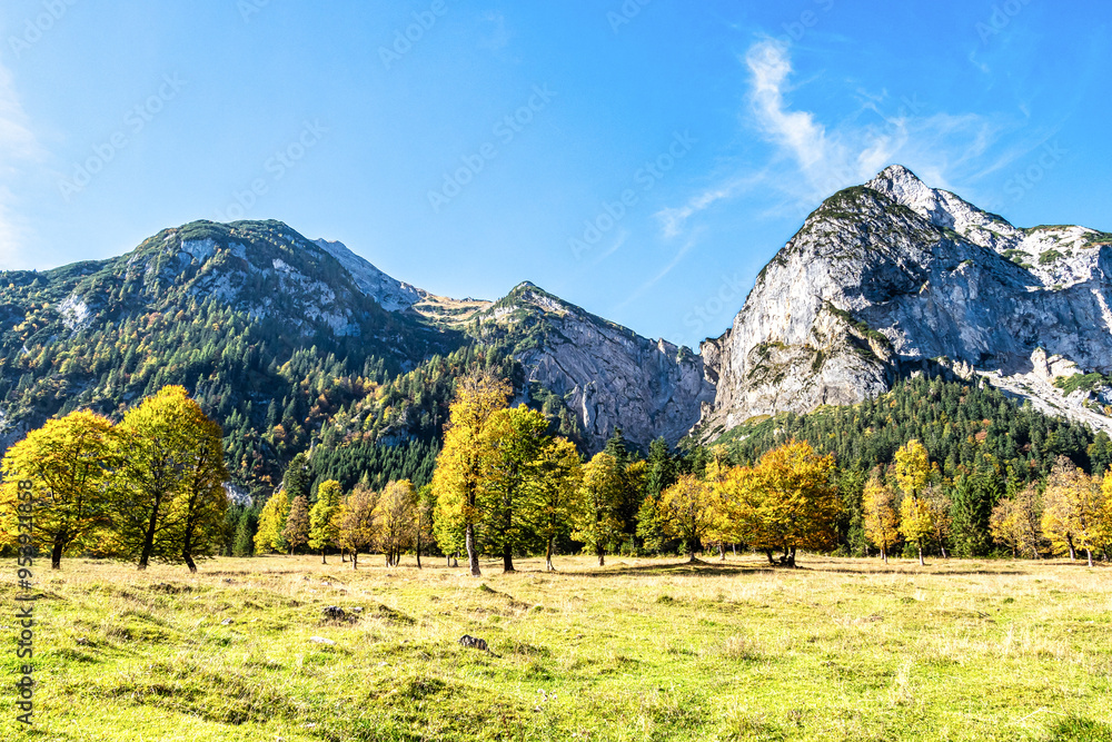 maple trees at Ahornboden, Karwendel mountains, Tyrol, Austria maple trees at Ahornboden, Karwendel mountains, Tyrol, Austria