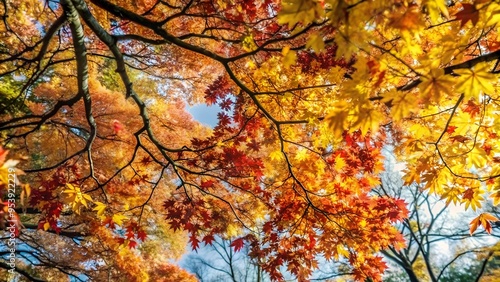 Colorful Autumn Canopy with Vibrant Yellow and Red Leaves Against Blue Sky