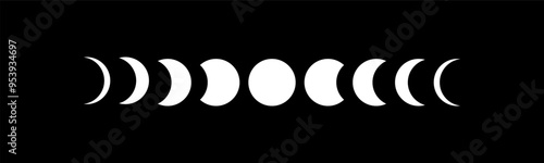 Phases of the moon. Moon phase. New, half and full moons. Vector