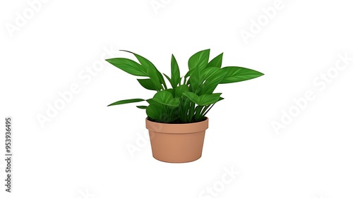 Wallpaper Mural 3d realistic vector icon illustration potted plant for the interior. Isolated on white background. Torontodigital.ca