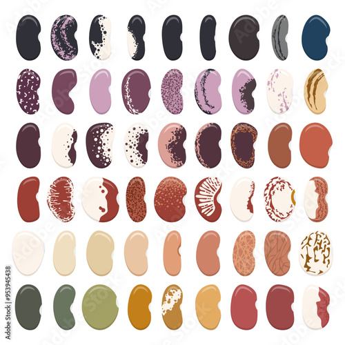 Set of color illustrations with green beans, kidney beans. Isolated vector objects on white background.