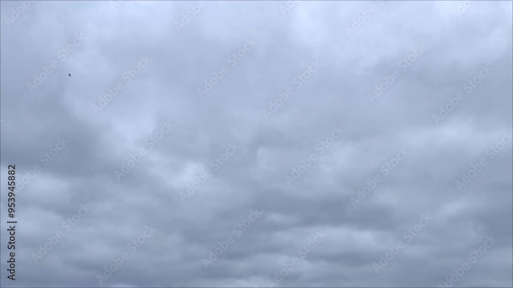 Sky with gloomy tones covers everything Sky with gloomy tones covers everything