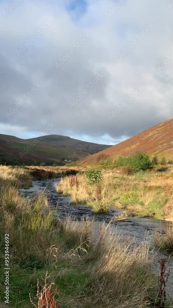 Stream flowing near Wooler, UK, on a scenic walk Stream flowing near Wooler, UK, on a scenic walk
