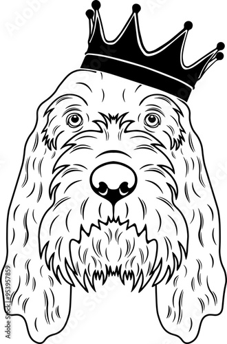 Grand Basset Griffon Vendeen Wearing A Crown