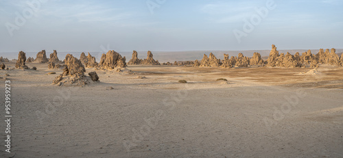 Desert rock formation at Lake Abbe, Djibouti, East Africa, Horn of Africa