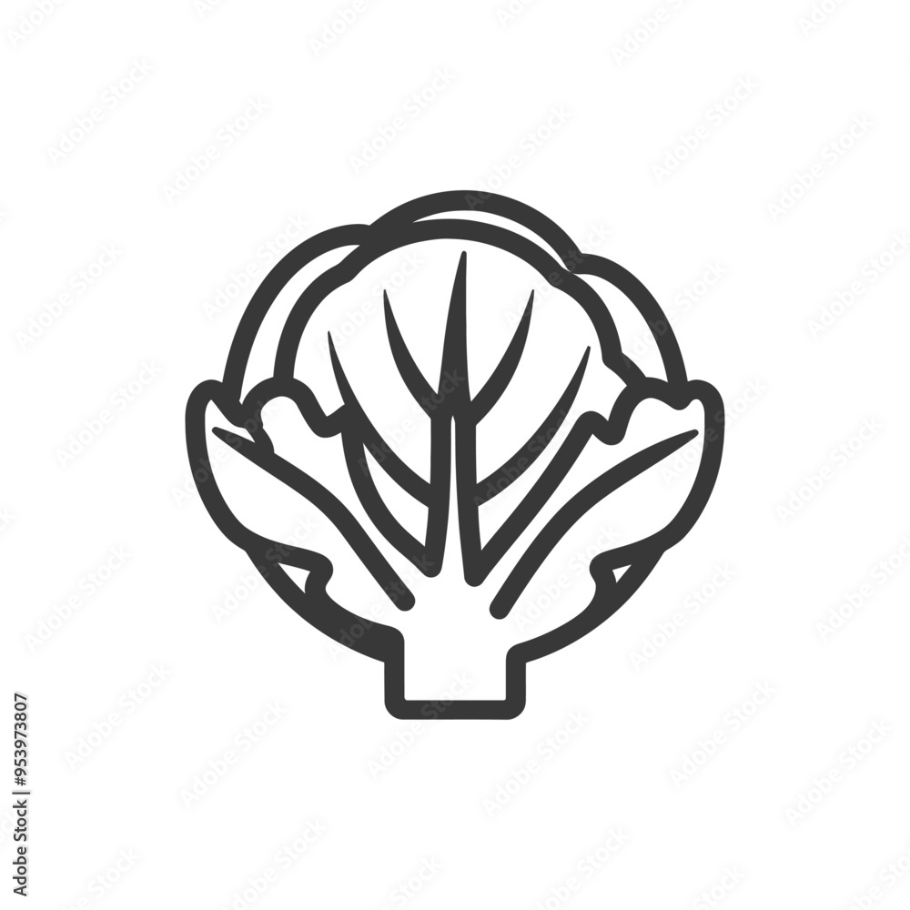 Obraz premium Black and White Line Drawing of a Cabbage
