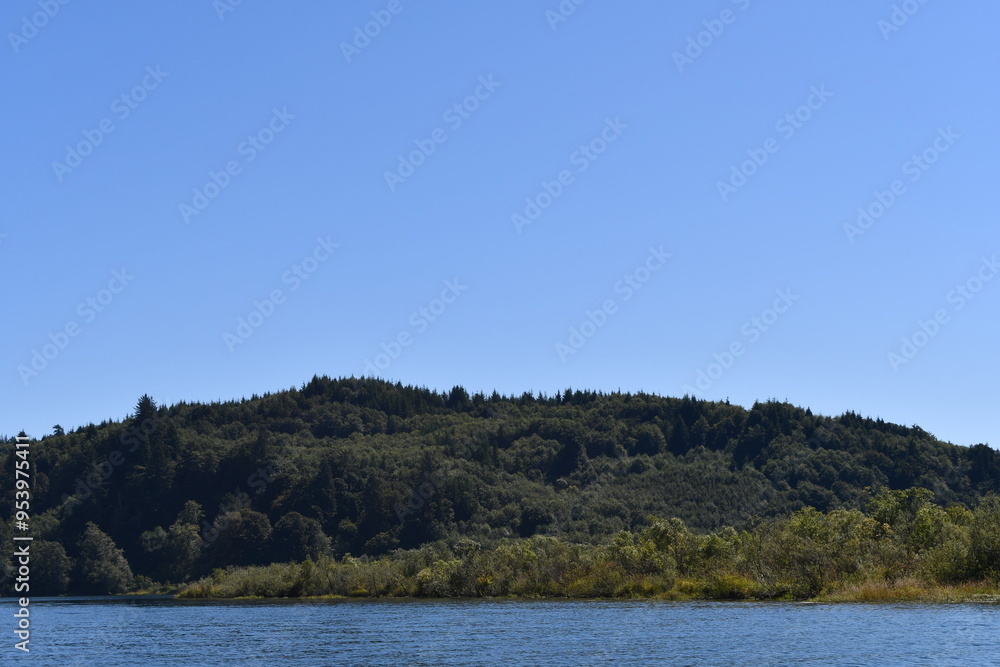 Forested shore along the Columbia River. Forested shore along the Columbia River.