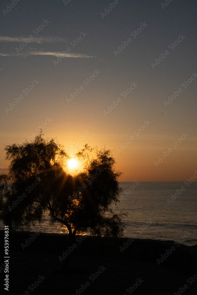 Obraz premium sunset on the beach