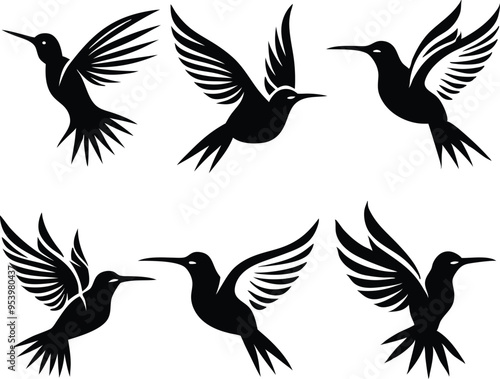 Humming bird silhouette vector illustration photo