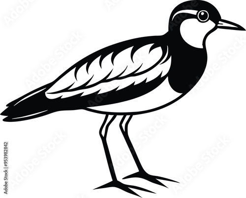 lapwing silhouette vector illustration