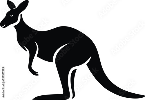 kangaroo illustration