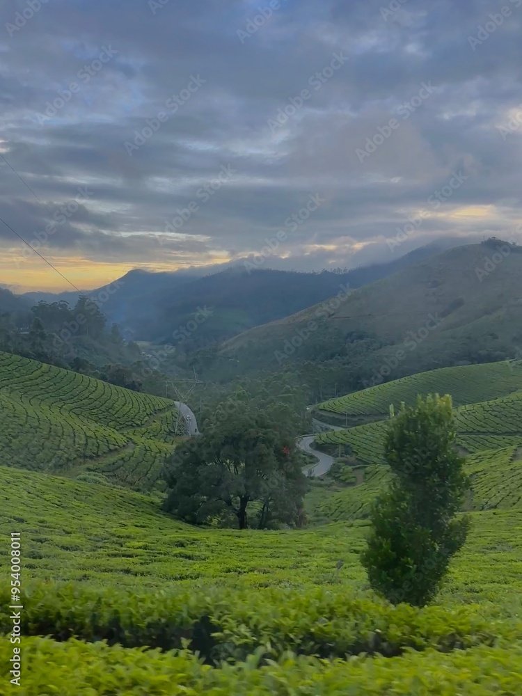 Obraz premium landscape in the mountains