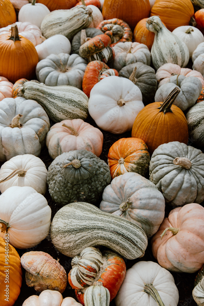 Pumpkins and gourds Pumpkins and gourds