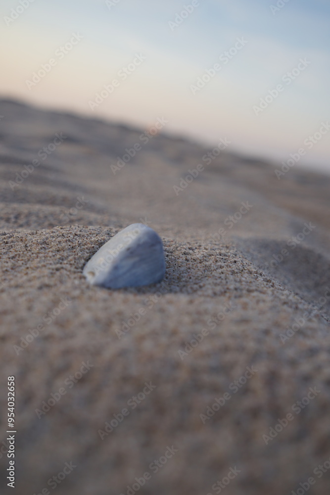 Ein stiller Wächter: Der Stein im endlosen Sand Ein stiller Wächter: Der Stein im endlosen Sand