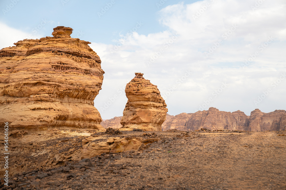 Fototapeta premium Schluchten, Klippen, Felsen und Felsformationen in der Landschaft im Wüstenland AlUla Medina Saudi-Arabien