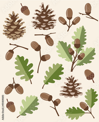 Oak and pine cones 