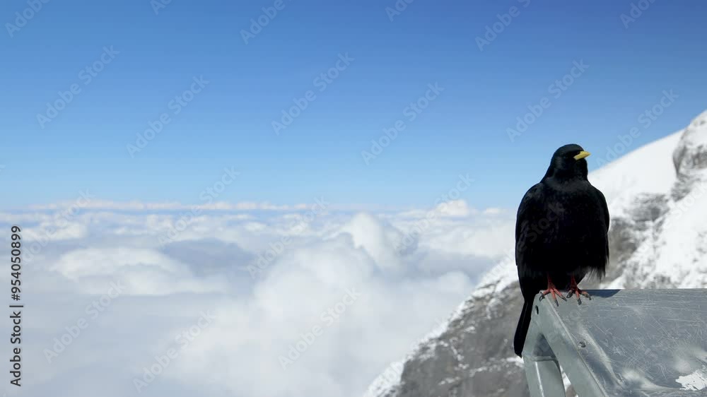 The breathtaking winter scene at Piz Gloria, located on Schilthorn, showcases not only the majestic mountains but also a vibrant and beautifully clear blue sky that enhances the landscapes charm The breathtaking winter scene at Piz Gloria, located on Schilthorn, showcases not only the majestic mountains but also a vibrant and beautifully clear blue sky that enhances the landscapes charm