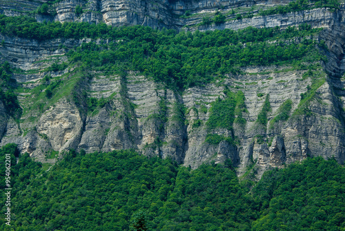 Close-up of a rock wall with its stone forming patterns and textures mixed with verdant vegetation in springtime in France.
