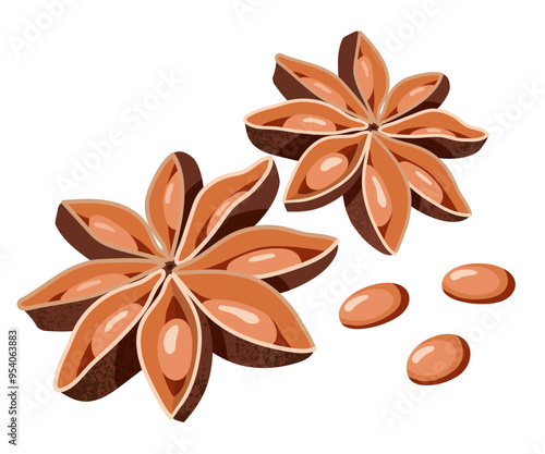 Dry star anise with seeds. Aromatic spices