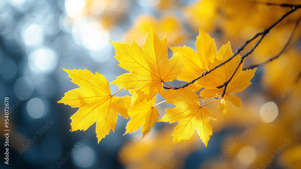 Close-up of golden autumn leaves on a branch with warm sunlight and cool blue bokeh background Close-up of golden autumn leaves on a branch with warm sunlight and cool blue bokeh background