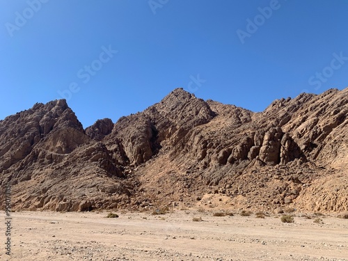 desert landscape in the desert