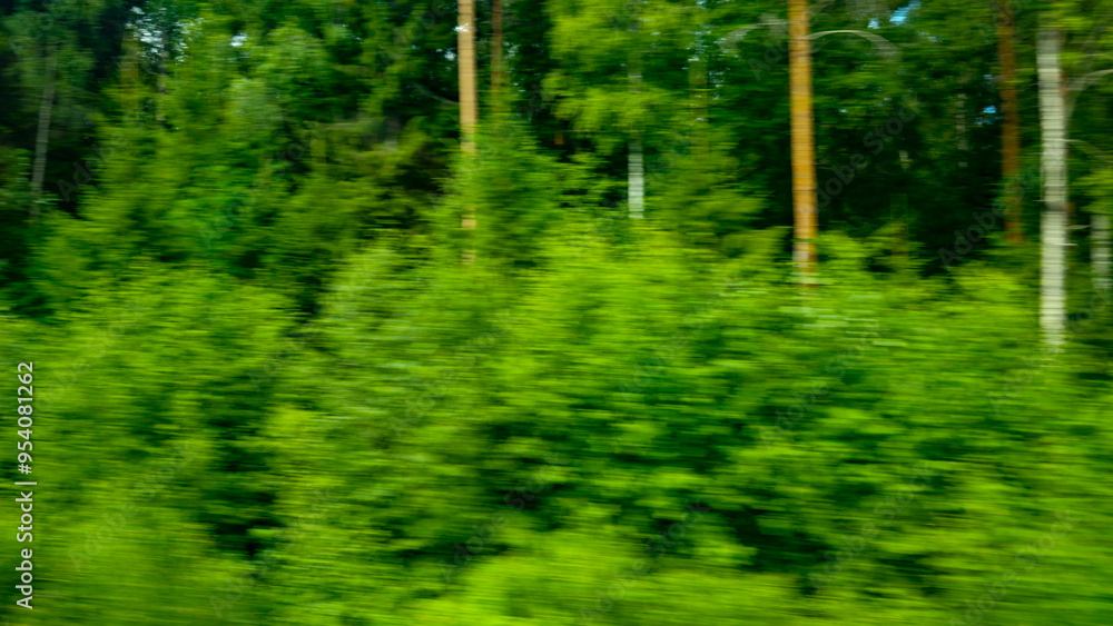 Fototapeta premium Green abstract nature background. Natural green blur trees. Energy Power high speed concept