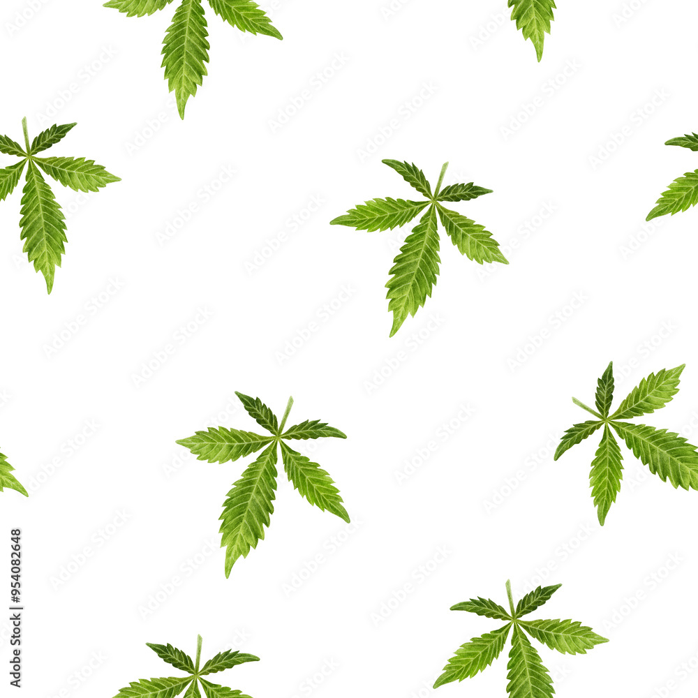 A Beautiful Pattern of Cannabis Leaves Set Against a White Background, Creating Harmony A Beautiful Pattern of Cannabis Leaves Set Against a White Background, Creating Harmony