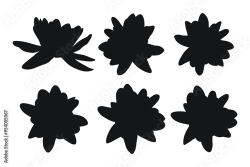 Silhouette of water lily, water lilies, top view