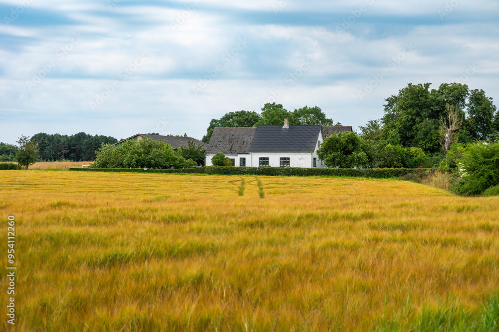 Colorful agriculture fields at the Danish countryside around Mosebolle, Denmark Colorful agriculture fields at the Danish countryside around Mosebolle, Denmark