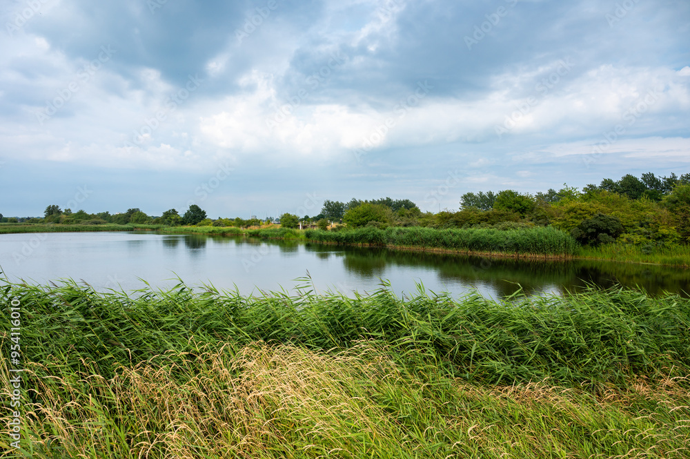 Green meadows and natural water pond at the Brondby park, Copenhagen, Denmark Green meadows and natural water pond at the Brondby park, Copenhagen, Denmark