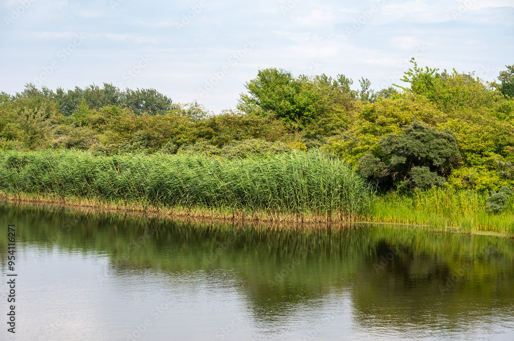 Green meadows and natural water pond at the Brondby park, Copenhagen, Denmark Green meadows and natural water pond at the Brondby park, Copenhagen, Denmark