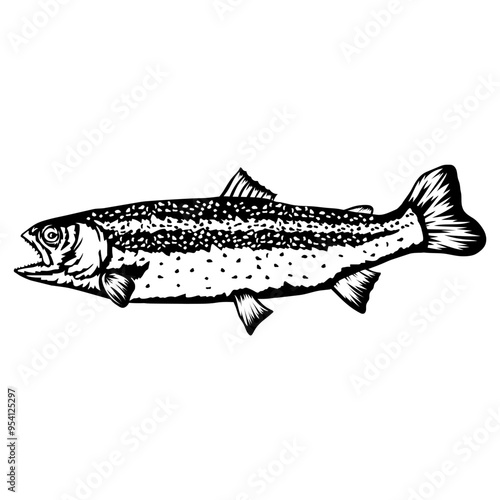 Rainbow Trout  Fish
