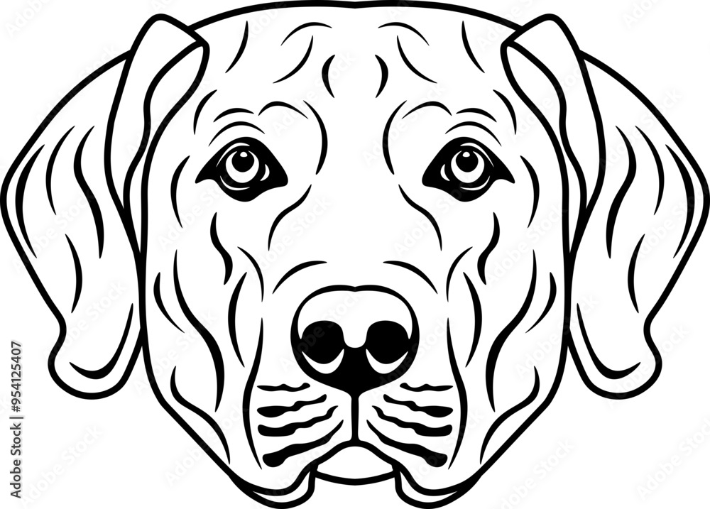 Rhodesian Ridgeback Rhodesian Ridgeback
