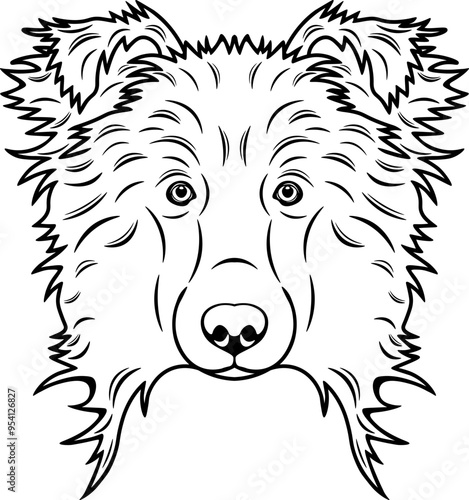 Rough Collie