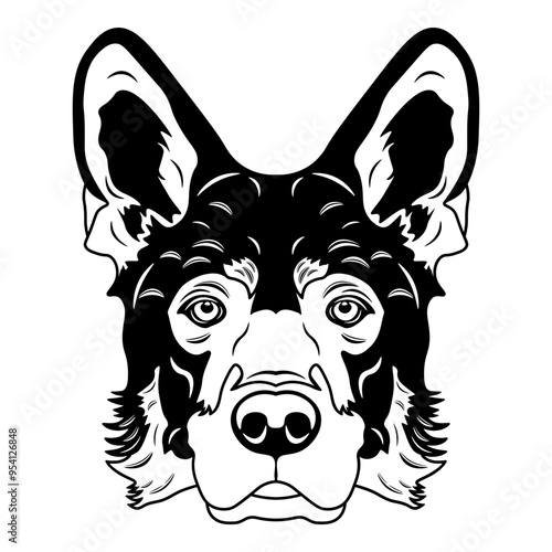 Saarloos Wolfdog