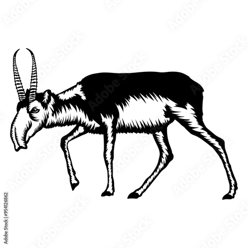 Saiga Antelope