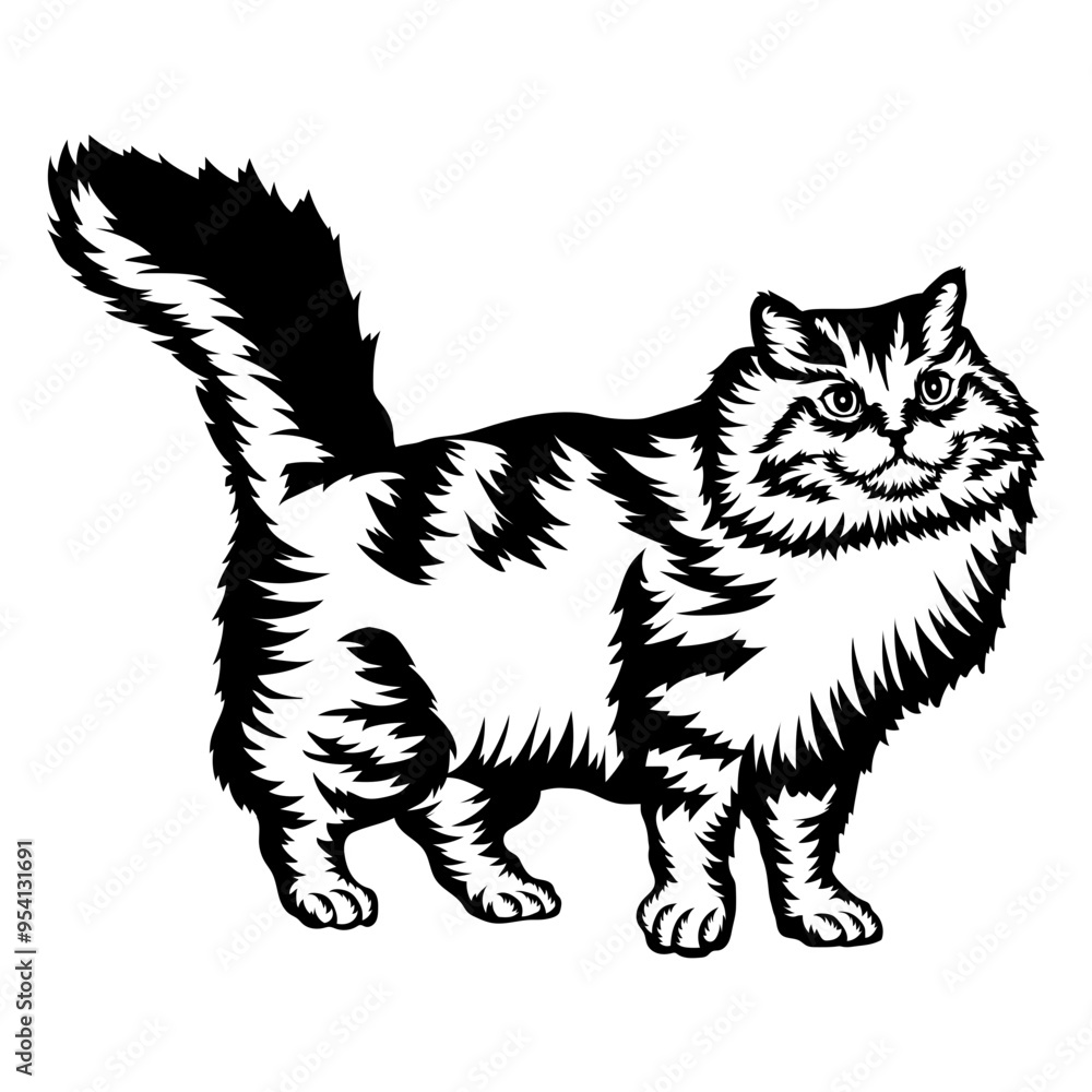 Siberian Cat Siberian Cat
