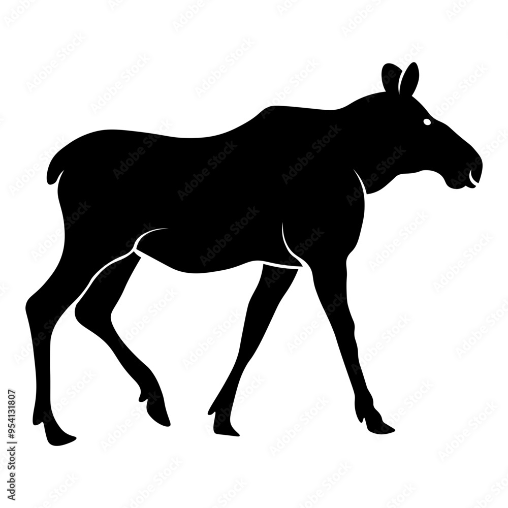 Fototapeta premium Side View of Moose