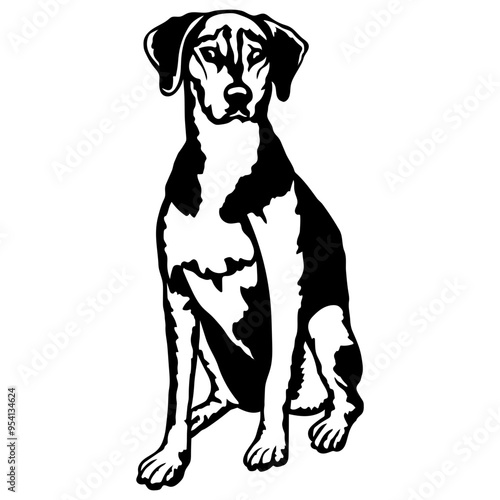 Sitting American Foxhound