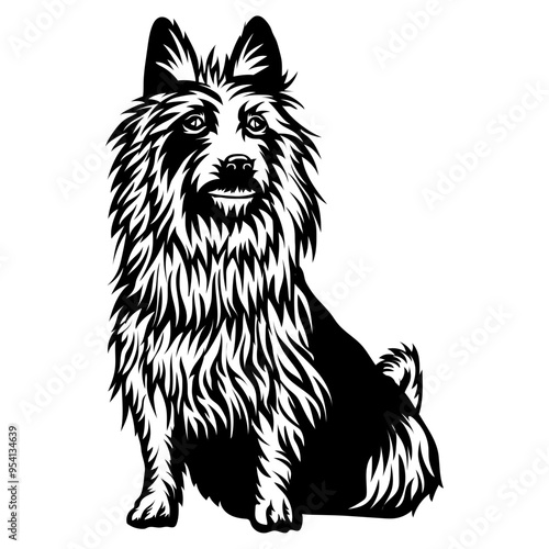 Sitting Australian Terrier