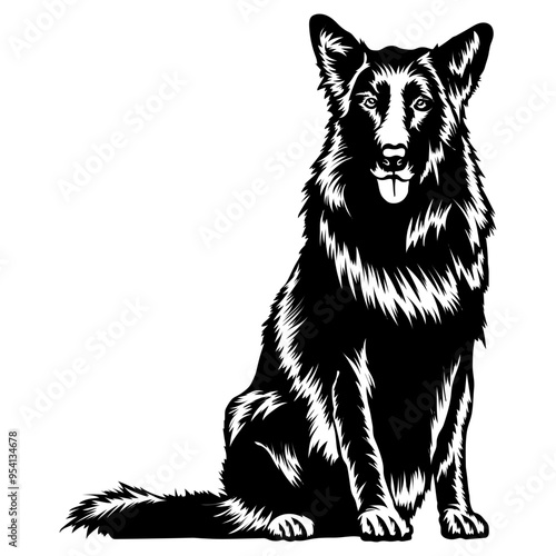 Sitting Belgian Sheepdog