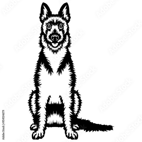 Sitting Belgian Laekenois