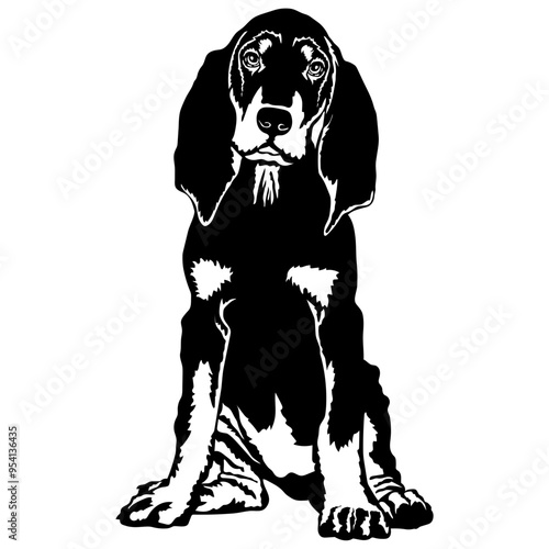 Sitting Coonhound