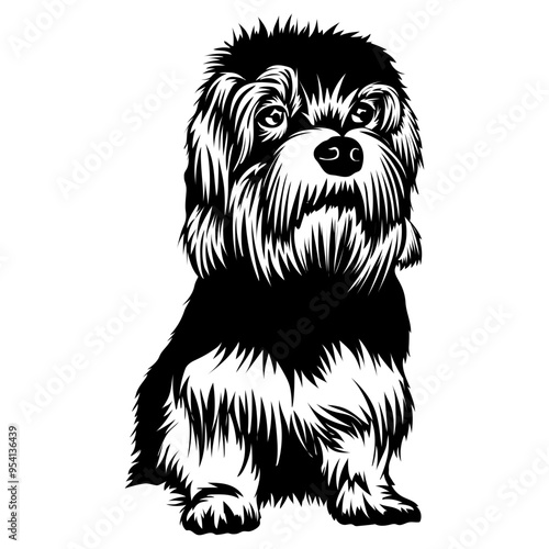 Sitting Dandie Dinmont Terrier