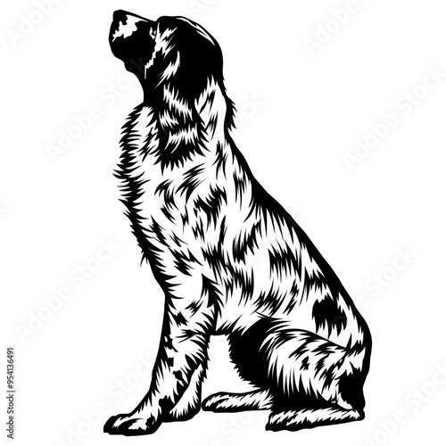Sitting English Springer Spaniel