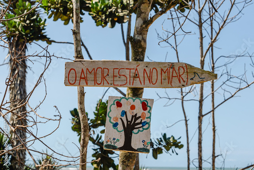 árvore com placa com frase na cidade de Aracruz, Estado do Espírito Santo, Brasil photo