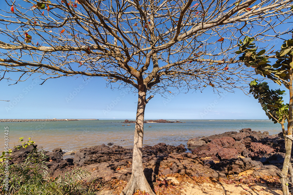 paisagem natural na cidade de Aracruz, Estado do Espírito Santo, Brasil paisagem natural na cidade de Aracruz, Estado do Espírito Santo, Brasil